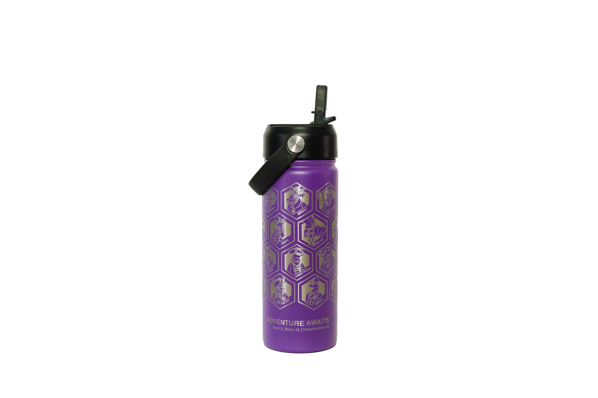 Spot It, Stick It - 530ml water bottle